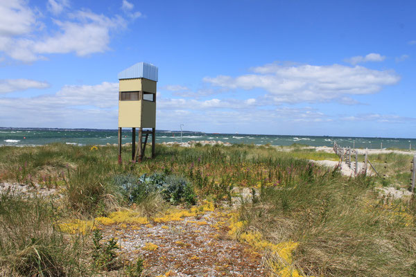Beobachtungsturm jetzt direkt am Brutfeld (r.) - Foto: NABU/Carsten Harrje