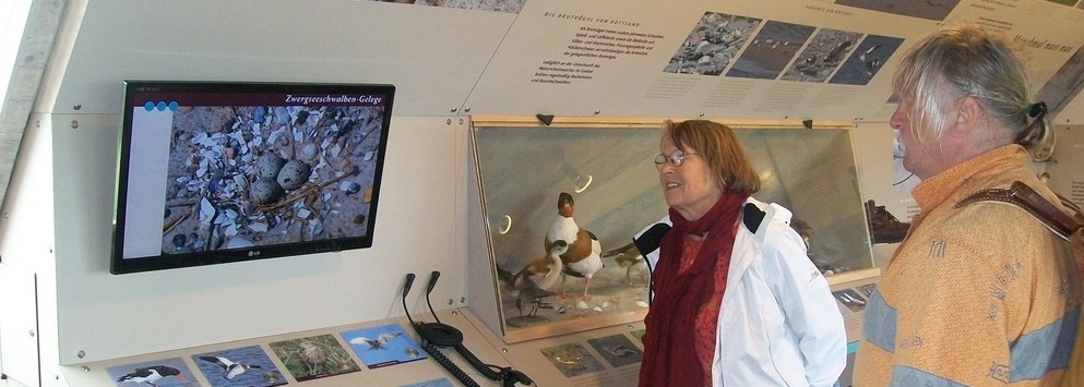 Im Ausstellungsraum der Naturstation - Foto: NABU/Vistar K. Andresen